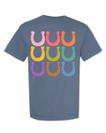 Colorful Horseshoe